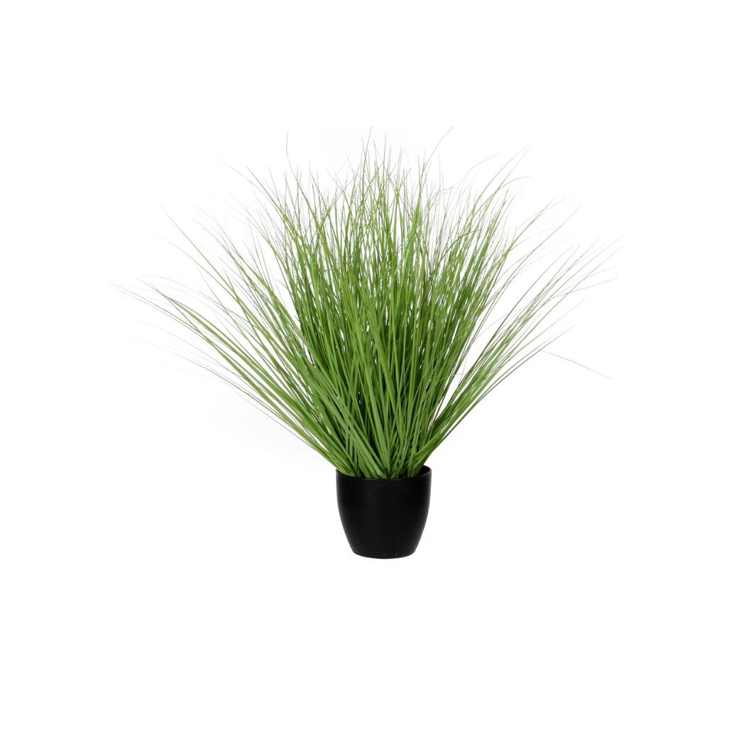 Grass Green Potted Plant